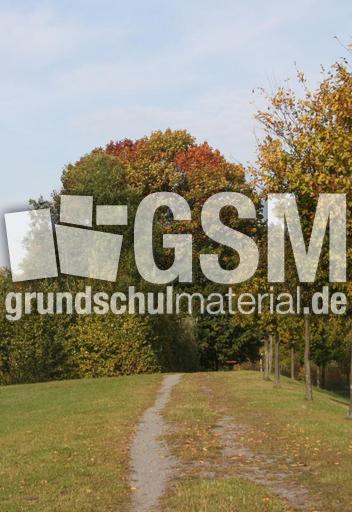 Herbststimmung-10-09 040.jpg